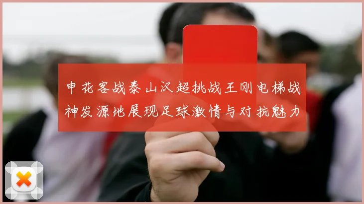 申花客战泰山汉超挑战王刚电梯战神发源地展现足球激情与对抗魅力